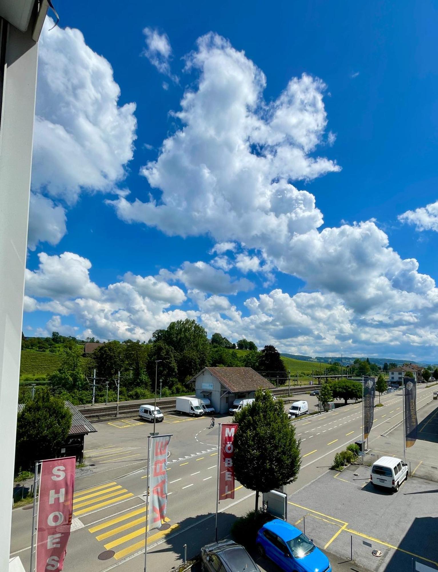 1号艺术住宿加早餐旅馆 Au (Zurich) 外观 照片