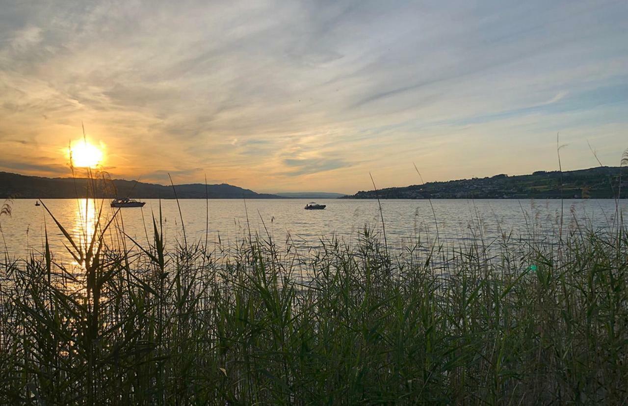 1号艺术住宿加早餐旅馆 Au (Zurich) 外观 照片